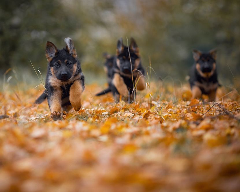 Editorial: January 22, 2021